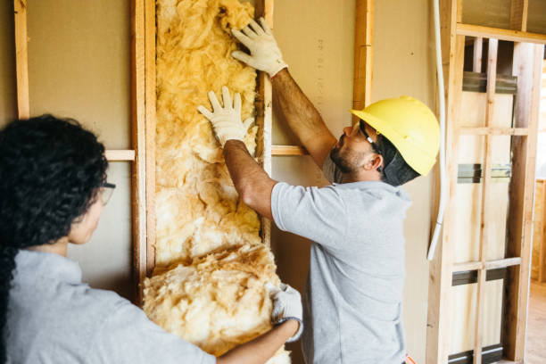 Best Insulation Air Sealing  in Sheffield Lake, OH